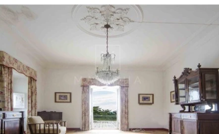 Negócio para Venda em Borba (Matriz)