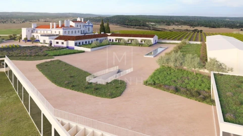 Negócio para Venda em Borba (Matriz)