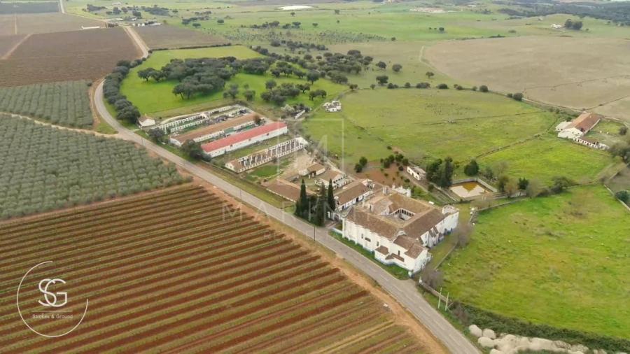 Negócio para Venda em Borba (Matriz) Foto 4