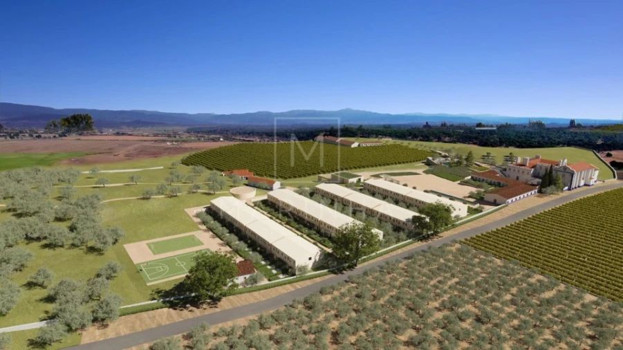 Negócio para Venda em Borba (Matriz) Foto 11