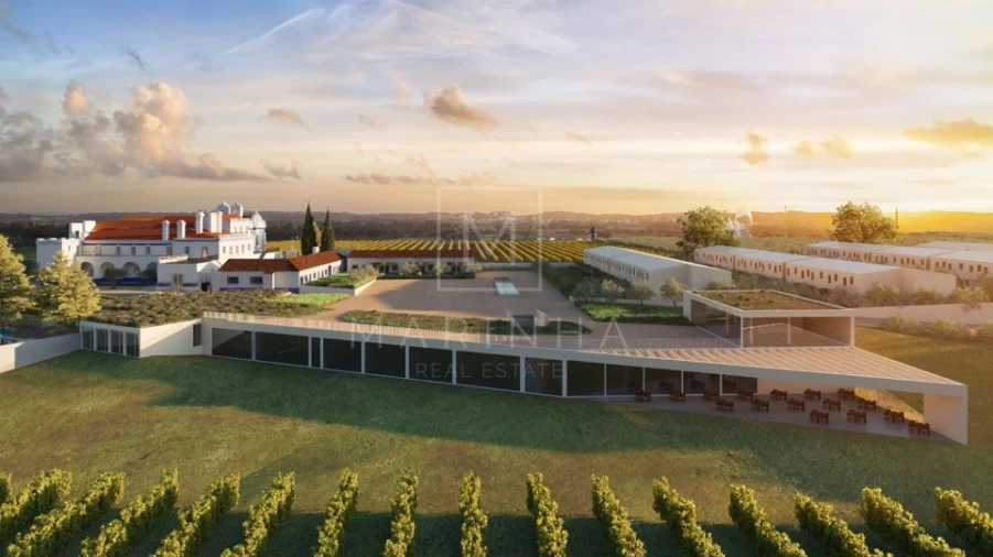 Negócio para Venda em Borba (Matriz) Foto 12