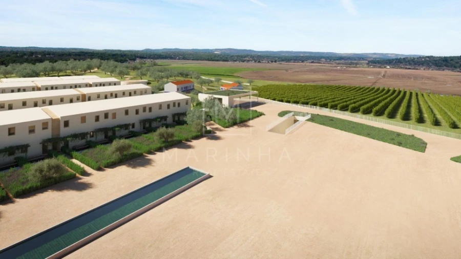 Negócio para Venda em Borba (Matriz) Foto 13