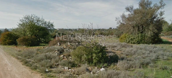 Terreno para Venda em Paderne