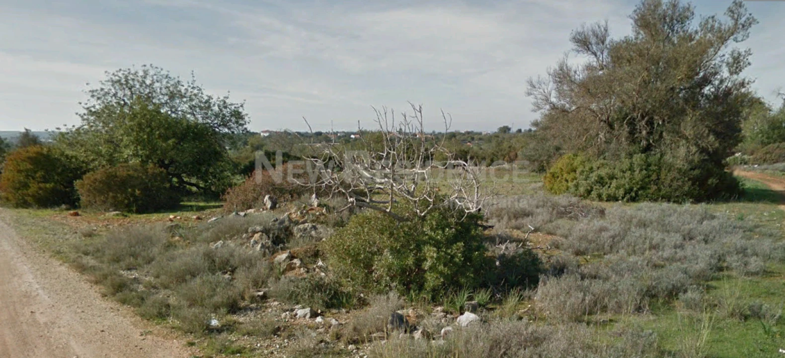 Terreno para Venda em Paderne Foto 2