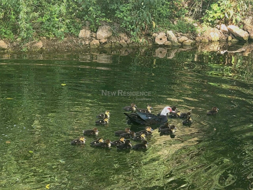 Moradia T0 para Venda em Alte Foto 13