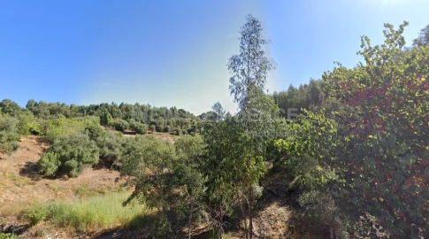 Terreno para Venda em Marmelete