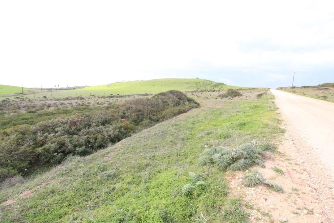 Terreno para Venda em Vila do Bispo e Raposeira Foto 3