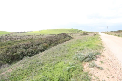 Terreno para Venda em Vila do Bispo e Raposeira