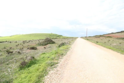 Terreno para Venda em Vila do Bispo e Raposeira
