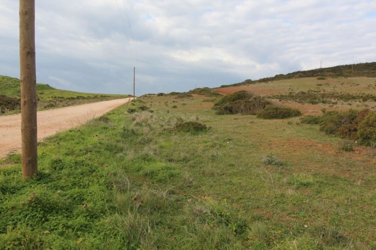 Terreno para Venda em Vila do Bispo e Raposeira Foto 4