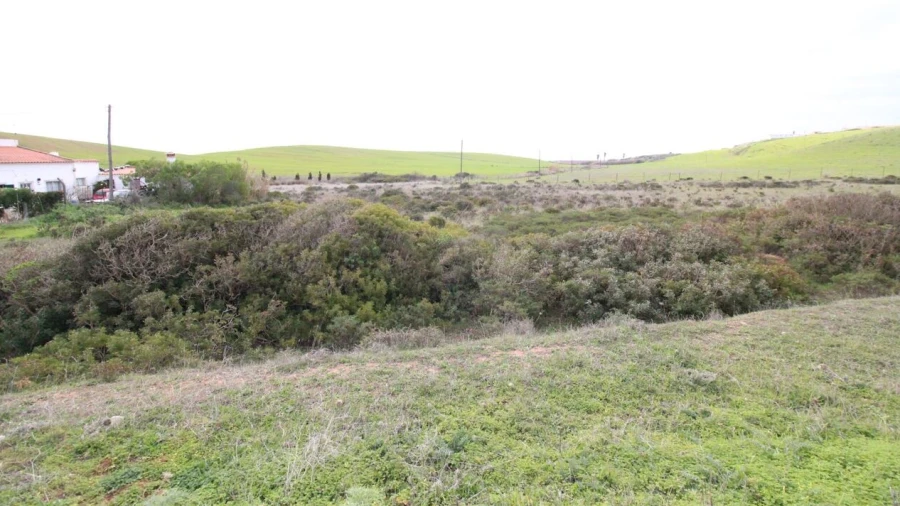 Terreno para Venda em Vila do Bispo e Raposeira