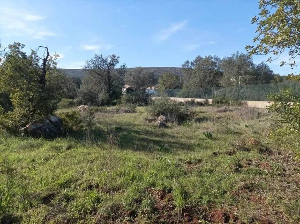 Terreno para Venda em Querença, Tôr e Benafim Foto 2