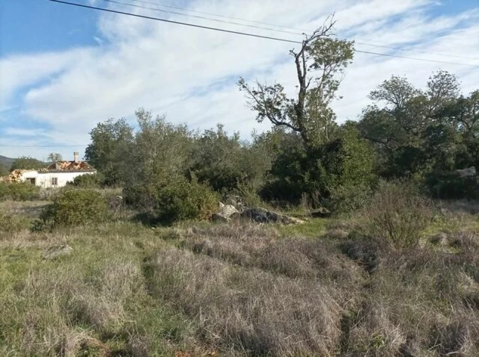 Terreno para Venda em Querença, Tôr e Benafim Foto 4