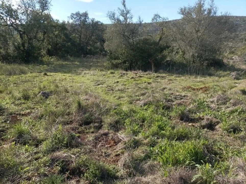 Terreno para Venda em Querença, Tôr e Benafim Foto 6