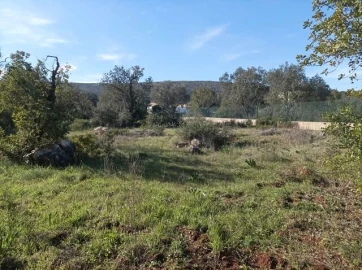 Terreno para Venda em Querença, Tôr e Benafim