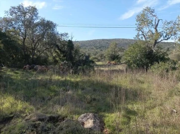 Terreno para Venda em Querença, Tôr e Benafim