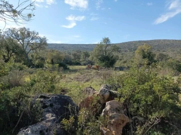 Terreno para Venda em Querença, Tôr e Benafim