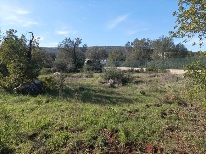 Terreno para Venda em Querença, Tôr e Benafim Foto 2