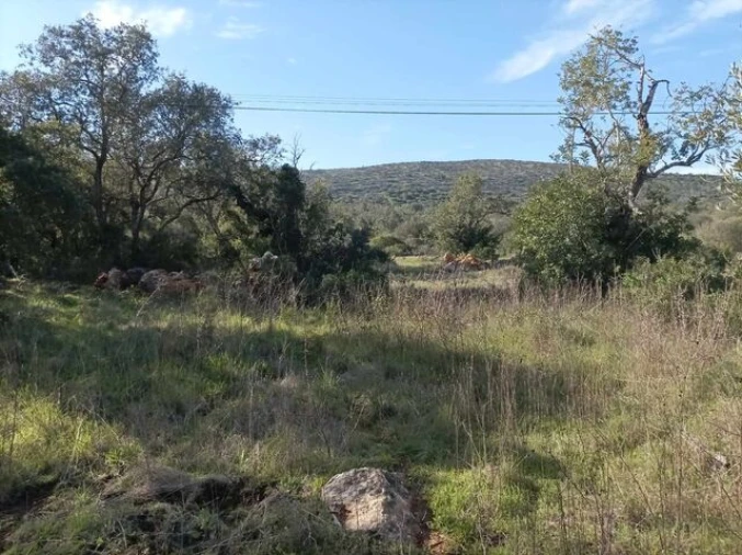 Terreno para Venda em Querença, Tôr e Benafim Foto 3