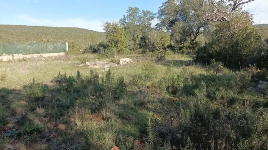 Terreno para Venda em Querença, Tôr e Benafim