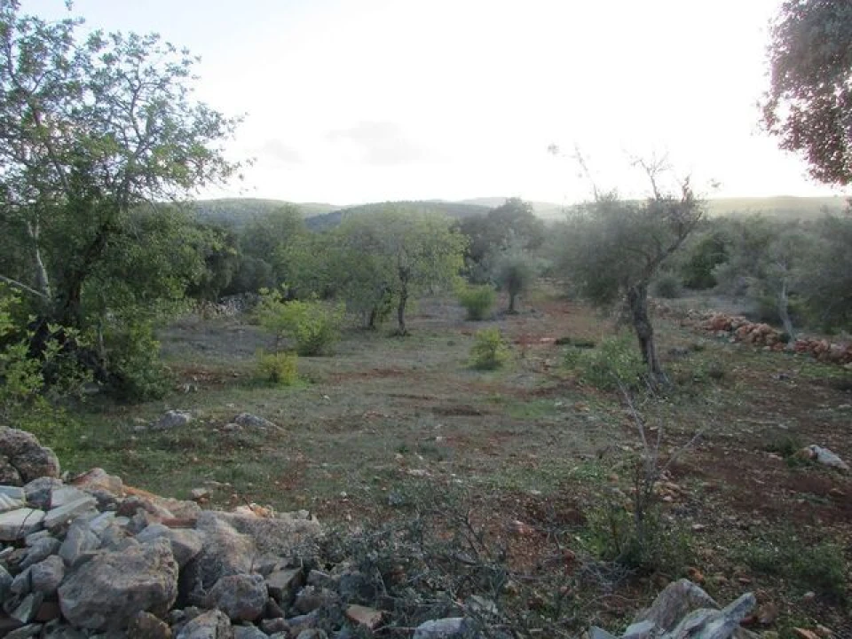 Terreno para Venda em Querença, Tôr e Benafim Foto 4