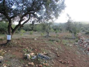 Terreno para Venda em Querença, Tôr e Benafim