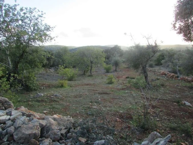 Terreno para Venda em Querença, Tôr e Benafim Foto 4