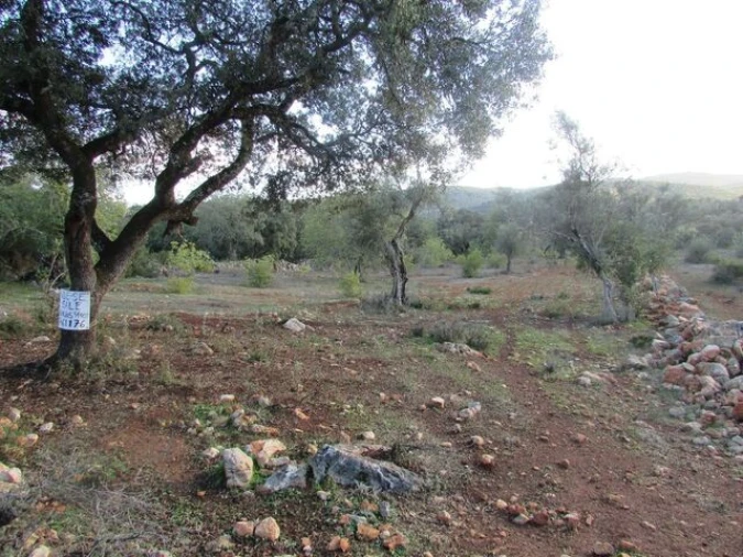 Terreno para Venda em Querença, Tôr e Benafim Foto 3