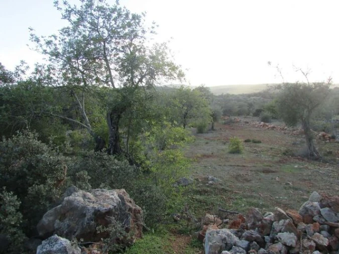 Terreno para Venda em Querença, Tôr e Benafim Foto 2