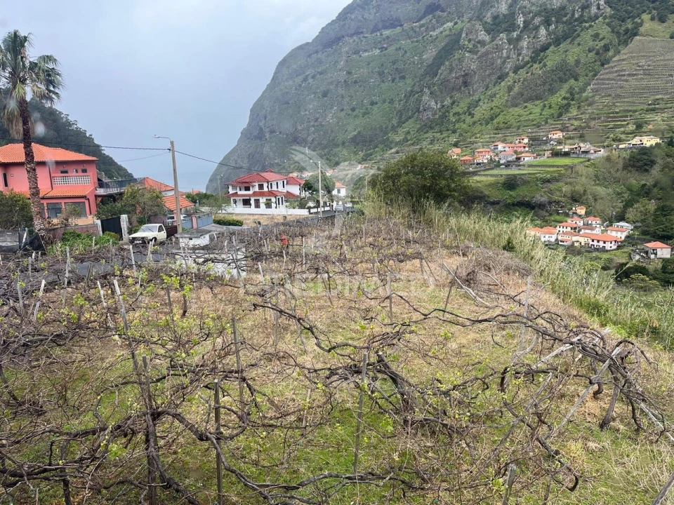 Moradia T3 para Venda em São Vicente Foto 3