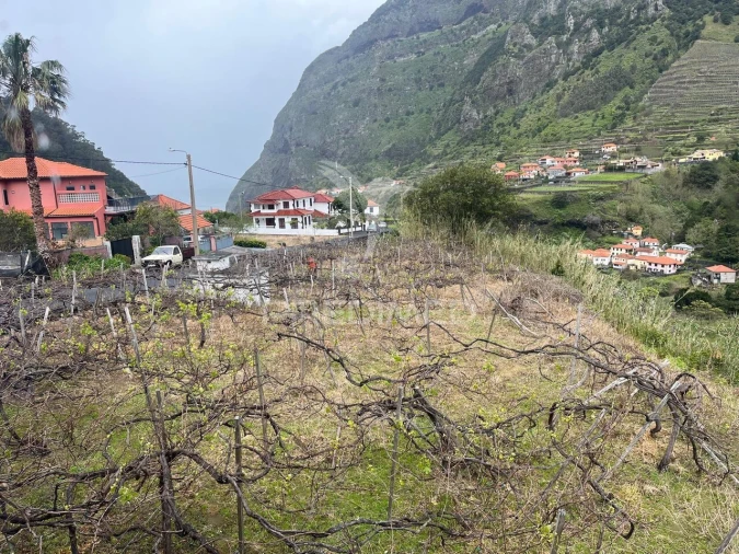 Moradia T3 para Venda em São Vicente Foto 3
