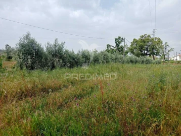 Terreno para Venda em Parceiros e Azoia