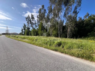 Terreno para Venda em Mira