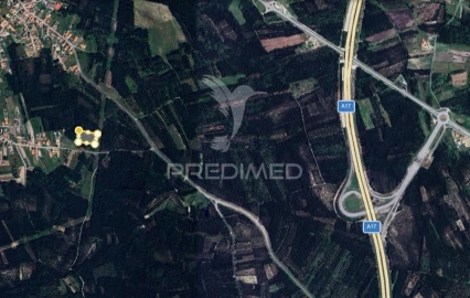 Terreno para Venda em Mira