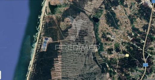 Terreno para Venda em Mira