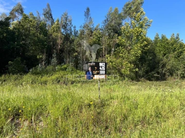 Terreno para Venda em Mira