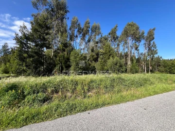 Terreno para Venda em Mira