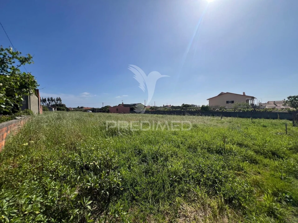 Terreno para Venda em Mira Foto 8