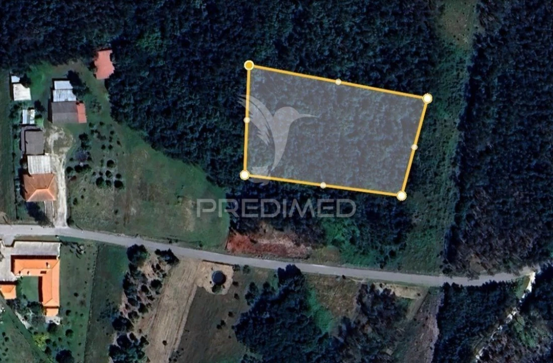 Terreno para Venda em Mira Foto 15