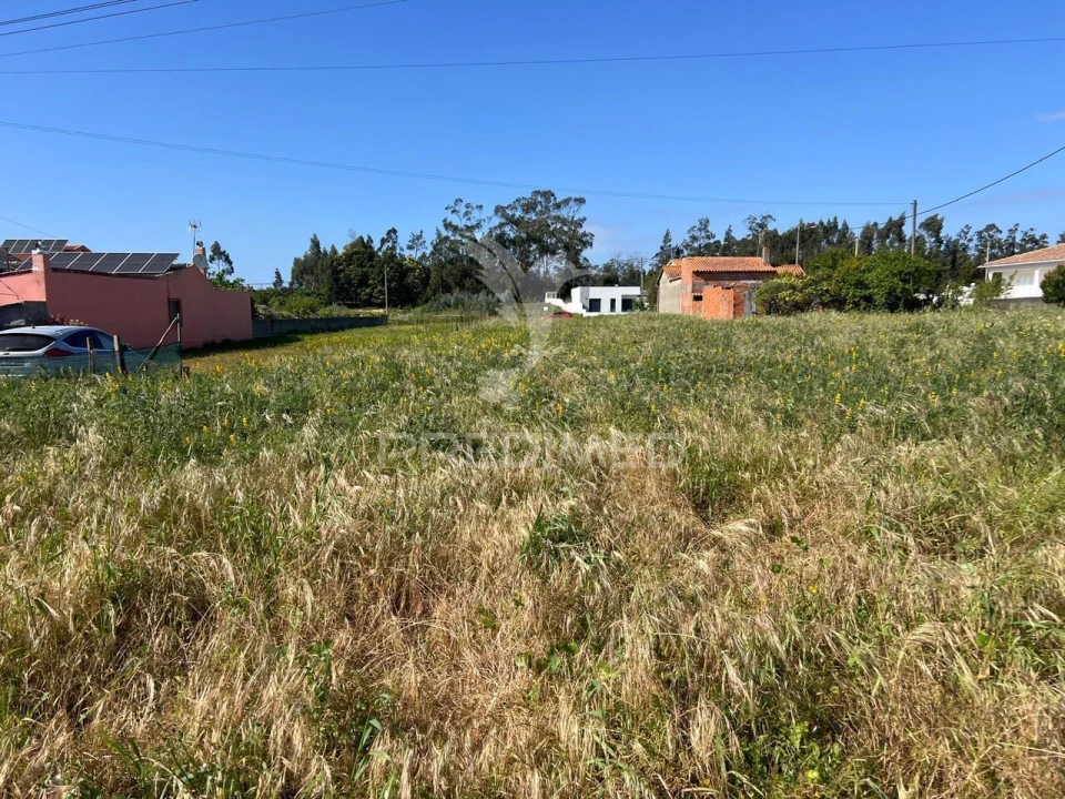 Terreno para Venda em Mira Foto 6