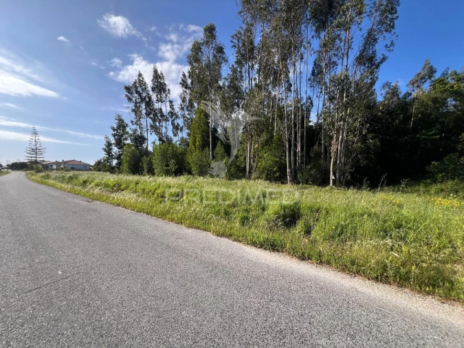 Terreno para Venda em Mira Foto 16