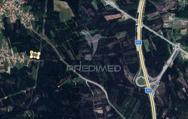 Terreno para Venda em Mira Foto 21