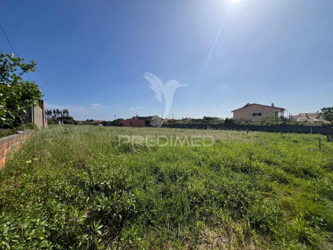 Terreno para Venda em Mira Foto 8