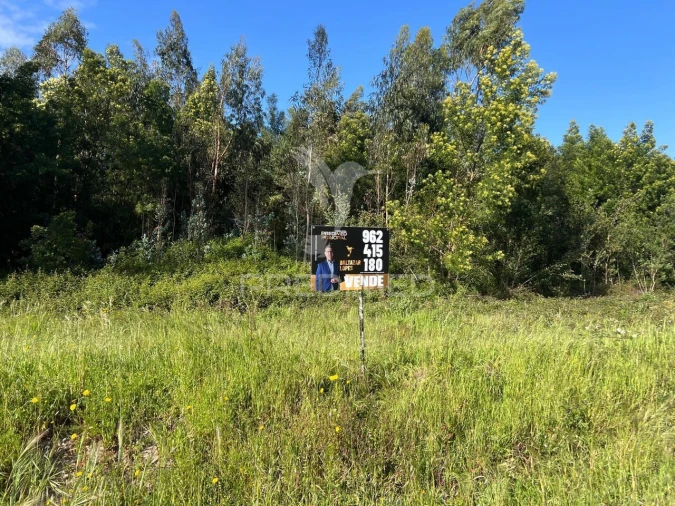 Terreno para Venda em Mira Foto 14