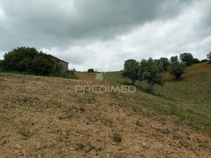Terreno para Venda em Pernes Foto 4