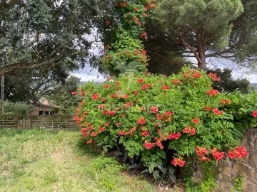 Moradia T3 para Venda em Aljubarrota