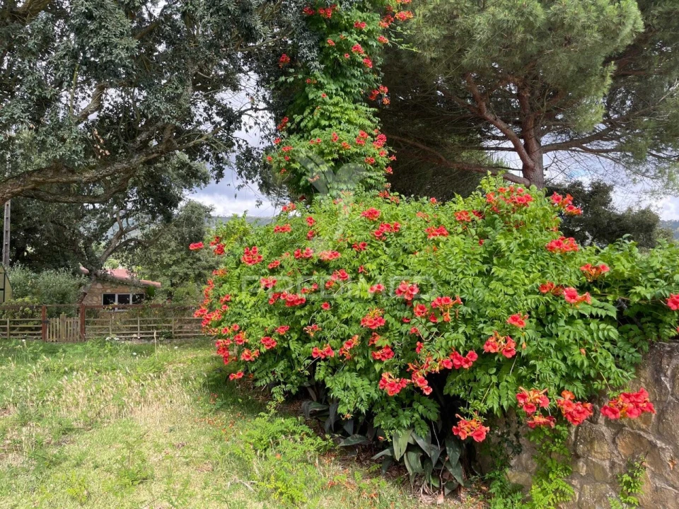 Moradia T3 para Venda em Aljubarrota Foto 31