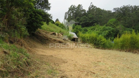 Moradia T2 para Venda em Santo Antonio da Serra