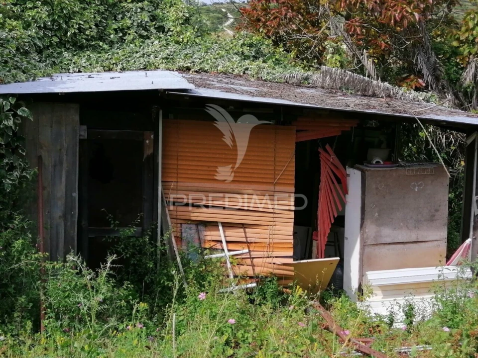 Terreno para Venda em Igreja Nova e Cheleiros Foto 2