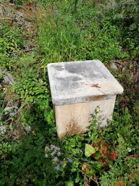 Terreno para Venda em Igreja Nova e Cheleiros